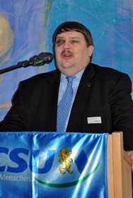 Bernd Posselt, Europa-Abgeordneter