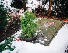 Das Wolff'sche Grab am Feldmochinger Friedhof